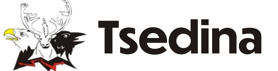 Tsedina